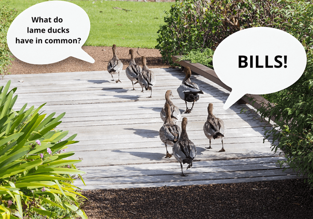 2aec4d_27bb9d4948ae4d7fab7127c9080c38a8~mv2-min