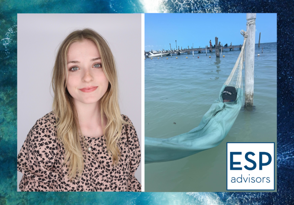 953912_0fb4d55135ce4f0ea3d720320a1a1785~mv2