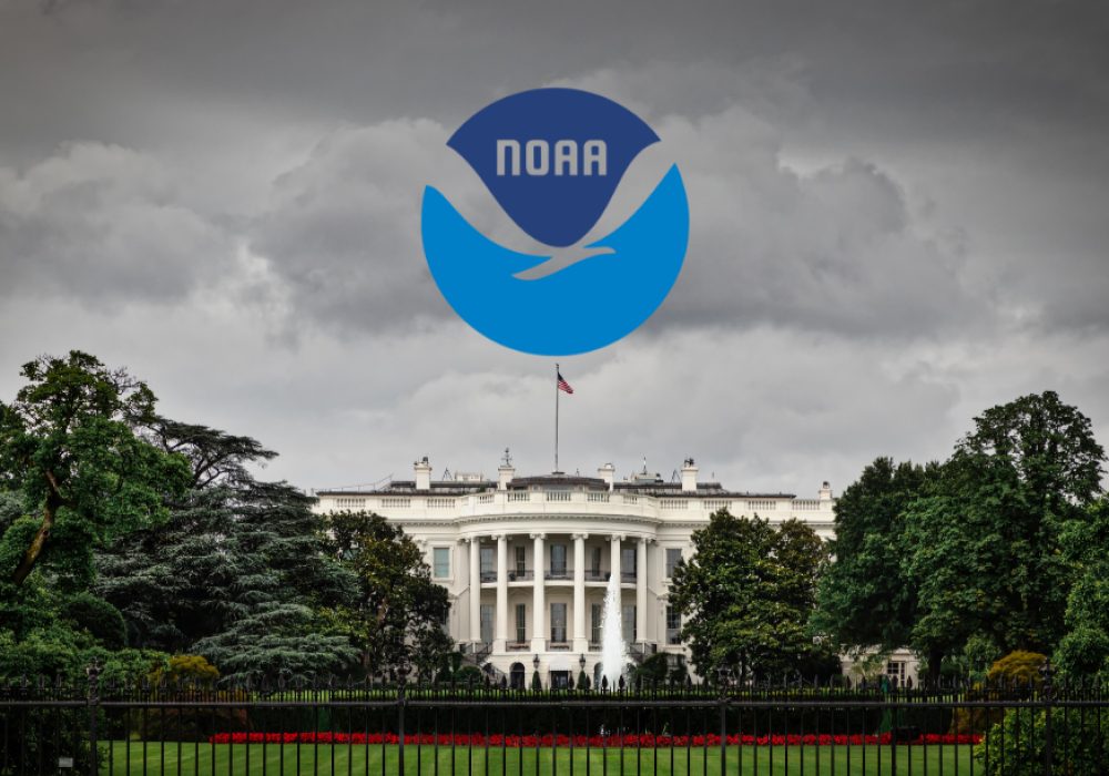 953912_134088324c474d20ace65a91ae77247f~mv2