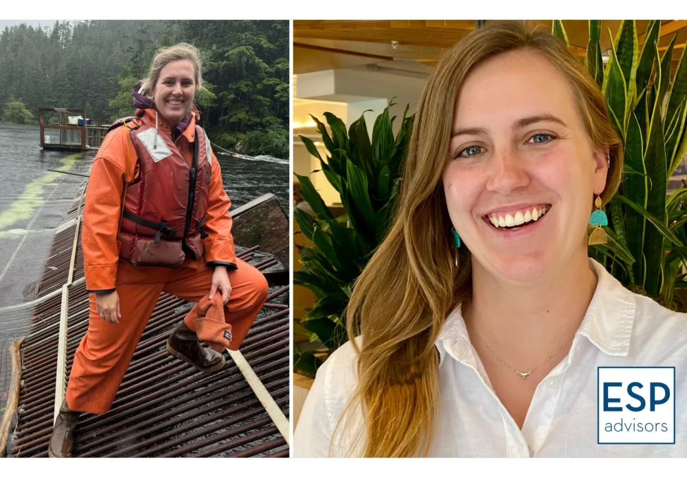 953912_8e2bc31d8c404234b1bae59e1a84b5f9~mv2