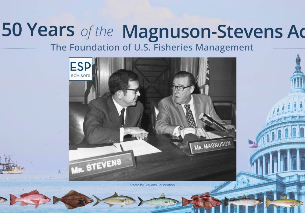 MSA - 50th Anniversary Cover (2)